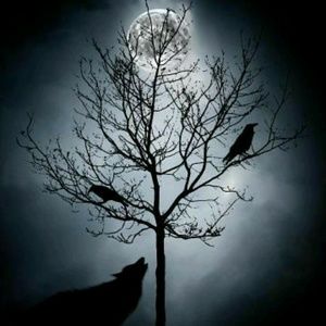 Meet your Posher, Max